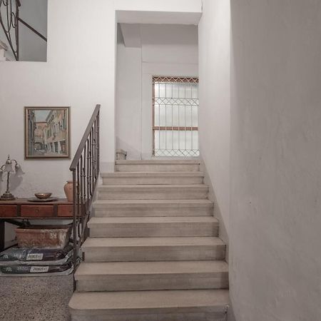 Piazza Delle Erbe Central Apartment 파도바 외부 사진